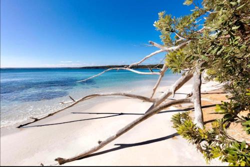 Beach, The Husky house 1 or 2 bedrooms or The Husky Studio Suite stayinjervisbay com in Jervis Bay