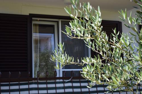 Studio Sveti Filip i Jakov 4299d - image 7