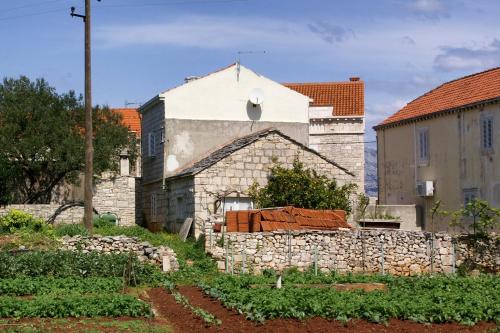  Apartments by the sea Lumbarda, Korcula - 4413 in Lumbarda
