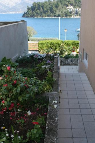Apartments by the sea Zrnovska Banja Korcula - 4363 - image 10