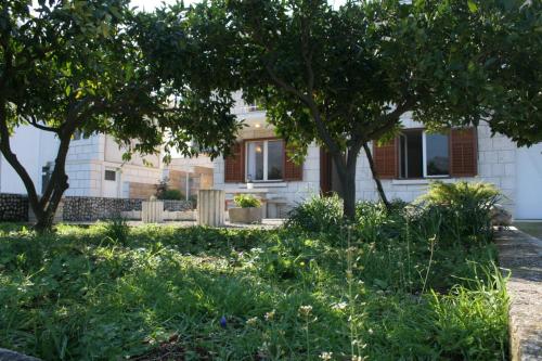 Apartments by the sea Zrnovska Banja Korcula - 4363 - main image