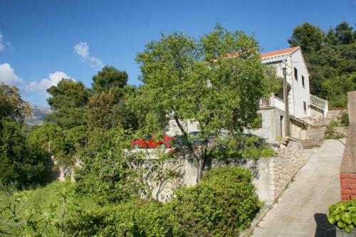 Apartments by the sea Zrnovska Banja Korcula - 4443 - image 10