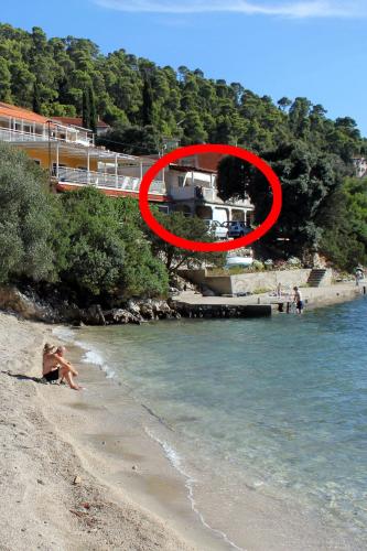 Apartments by the sea Brna, Korcula - 4425