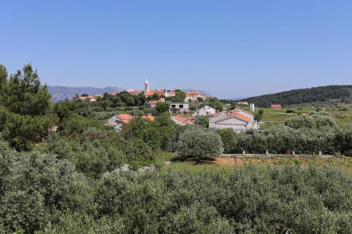 Apartments with a parking space Lumbarda Korcula - 4471 - image 11