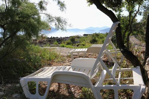 Apartments by the sea Drace, Peljesac - 4535