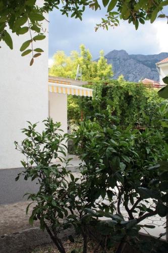 Apartments with parking space Orebic Peljesac - 4522 - image 5