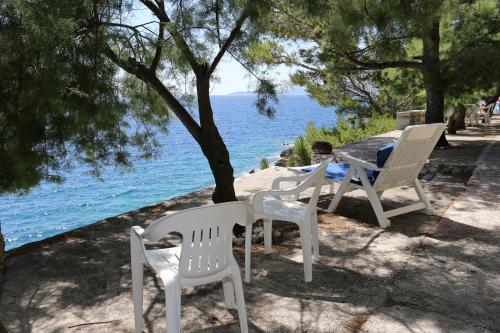 Apartments by the sea Dingac - Potocine, Peljesac - 4533 in Potomje