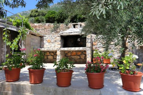 Apartments by the sea Dingac - Potocine, Peljesac - 4533 in Potomje