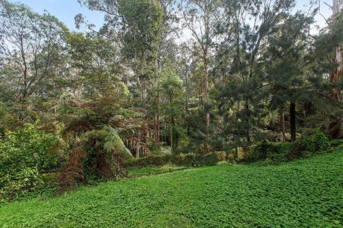 Private Holiday Home With Rain Forest Creek View in Cockatoo