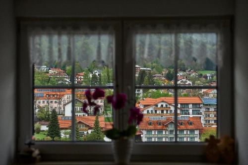 Ferienwohnungen Haus Elisabeth