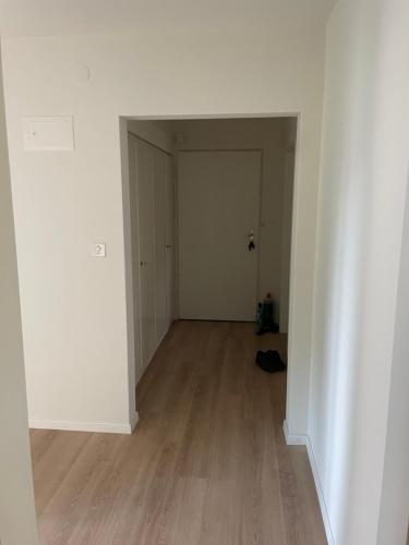  Schwing und Älplerfest Pratteln in Pratteln