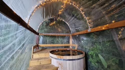 Spa, Olives in Rotem