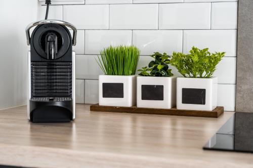 virtuvė, Gite Chez Lucile in Thanas