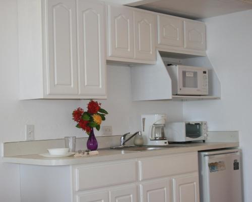 Hotel on the Cay, Christiansted (photo 8)
