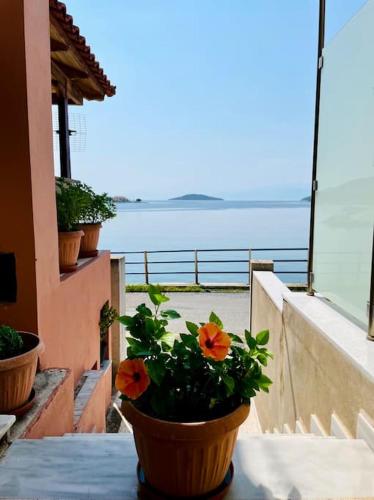 Seaside Apartment in Glyfada-Trizonia in 네아 트리조니아