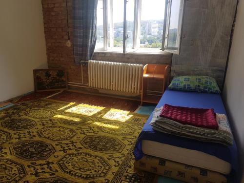 Hostel Branik Garden