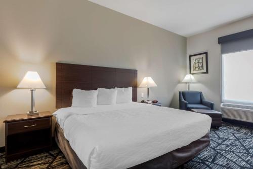 Best Western Plus McKinney Inn and Suites