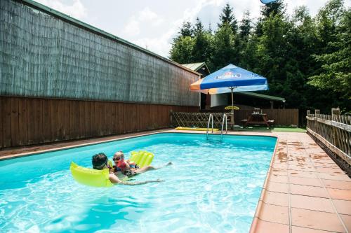 Piscina, Pension Herman in Rudnik