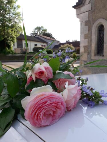 Gîte semi-rural "Chez Maguy"Montrem Montanceix Dordogne Périgord