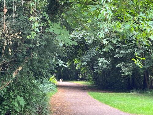 Park Line garden