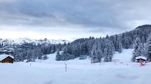 Les Chalets du Parc aux Etoiles - Cimes et Neige