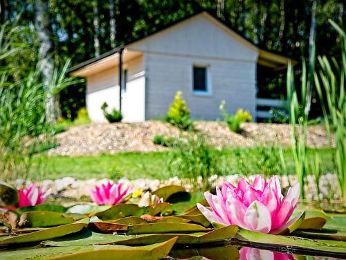 Obora resort - Chalet - Lanškroun