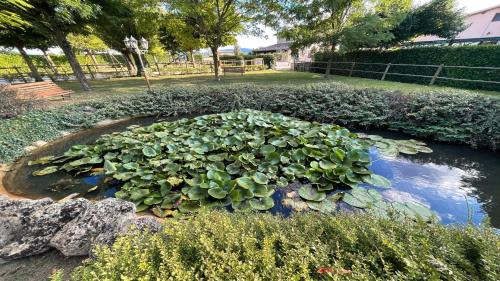  Villa Spelloissima - Sleeps 11, Unterkunft in Limiti