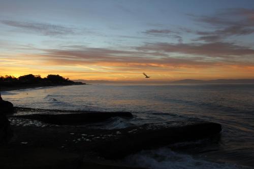 Ocean Echo Inn & Beach Cottages, Santa Cruz (zdjęcie 10)