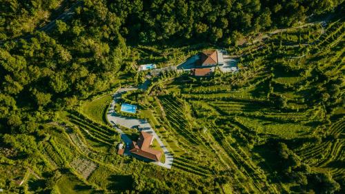 Casa da Adega - Quinta da Portela