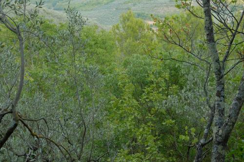 Agriturismo Il Casaletto