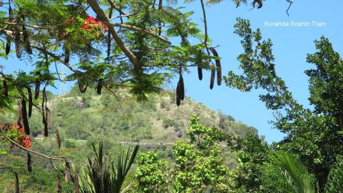 Lake Placid Tourist Park普莱西德湖观光园图片
