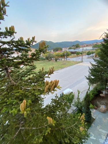 Florina House - Spacious with 2 Bedrooms and mountain view