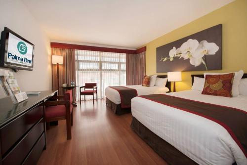 Hotel Palma Real, San José