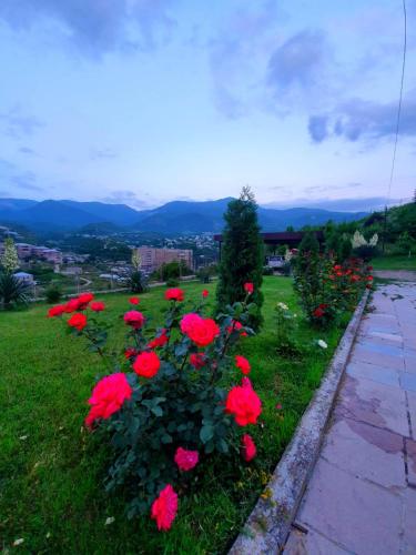 Guest house Ijevan's Garden