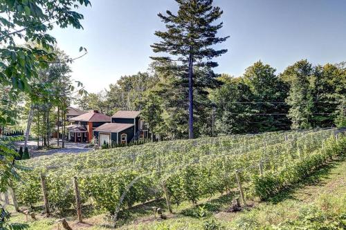 . VIGNOBLE du Domaine des 3 Moulins à 20 min de Qc