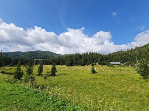  Apartmenthaus Almwiese Flattnitz in Flattnitz