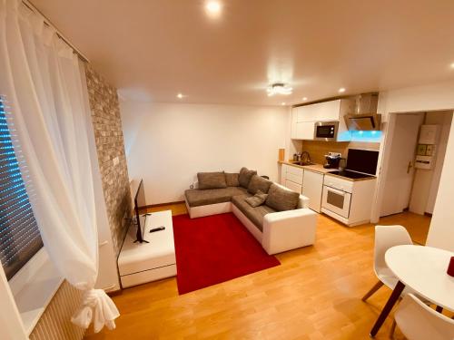 PETiT MULHOUSE 201 - Location saisonnière - Mulhouse