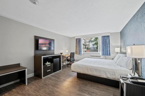 Inn On Arsenal - image 6