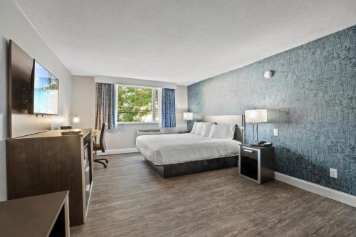 Inn On Arsenal - image 8