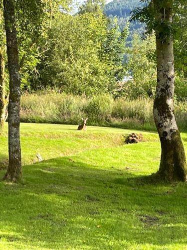 Cherry tree Lodge in Sandbank