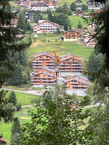 Châtel - Appartement 4-6 personnes - Les Châlets des Freinets C203, Châtel (photo 10)