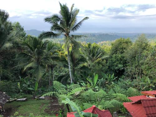 Sedana Yoga Resort Room Type - Queen Room with Garden View