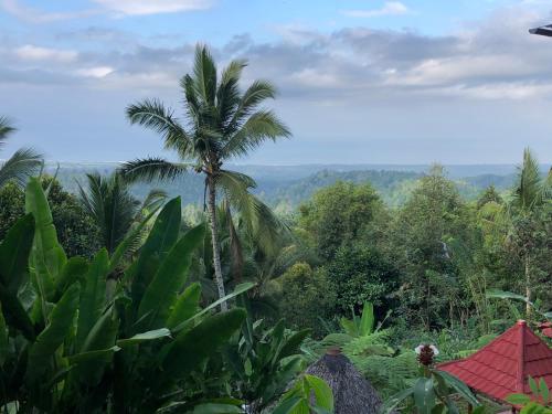Surrounding environment, Sedana Yoga Resort near Bunut Bolong