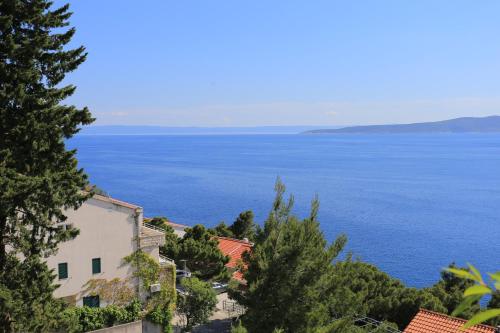 Apartments with a parking space Brela, Makarska - 6043