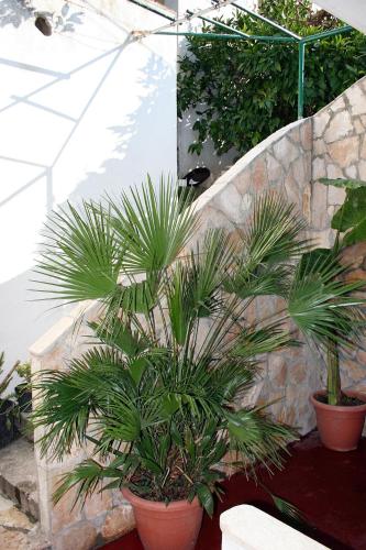 Apartments by the sea Drasnice, Makarska - 6051 Apartments by the sea Drasnice, Makarska - 6051