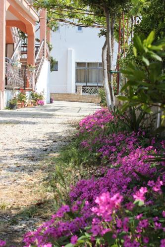Apartments by the sea Pakostane Biograd - 6161 - main image