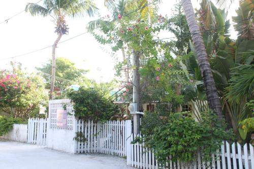 Amanda's Place Green Studio - pool and tropical garden