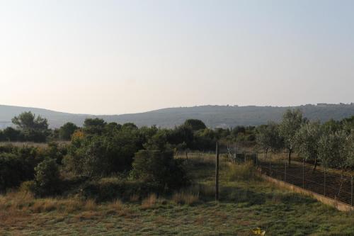 Apartments with a parking space Banjole Pula - 7487 - image 13