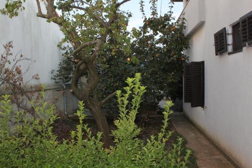 Apartments with a parking space Banjole Pula - 7487 - image 5