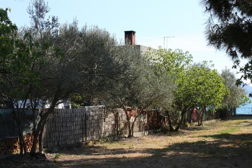 Family friendly seaside apartments Sukosan Zadar - 6133 - image 13